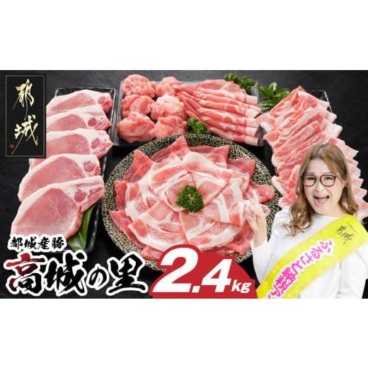 ふるさと納税 豚肉 セット 宮崎県 都城市 「高城の里」わくわく2.4kgセット(真空)_16-84...