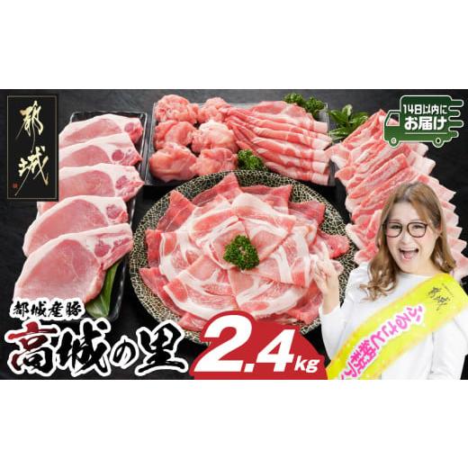 ふるさと納税 豚肉 セット 宮崎県 都城市 「高城の里」わくわく2.4kgセット(真空) みやこんじ...