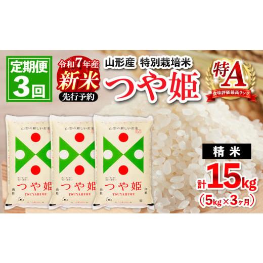 ふるさと納税 米 つや姫 山形県 山形市 11月発送開始 定期便3回 先行予約 令和7年産 新米 ...