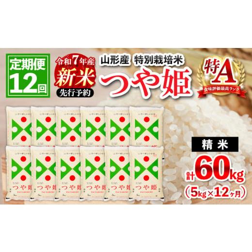 ふるさと納税 米 つや姫 山形県 山形市 11月発送開始 定期便12回 先行予約 令和7年産 新米...