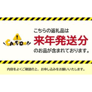 ふるさと納税 ぶどう マスカット 山梨県 南ア...の詳細画像2