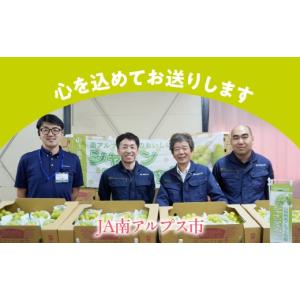 ふるさと納税 ぶどう マスカット 山梨県 南ア...の詳細画像4