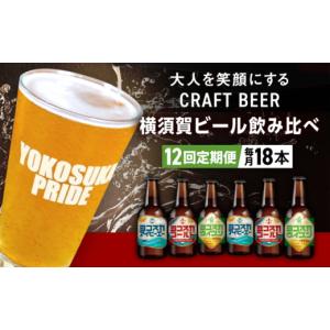 ふるさと納税 ビール 神奈川県 横須賀市 全1...の詳細画像1