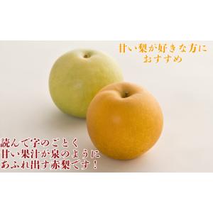 ふるさと納税 梨 鳥取県 八頭町 新甘泉(赤秀...の詳細画像3