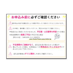 ふるさと納税 梨 鳥取県 八頭町 新甘泉(赤秀...の詳細画像5