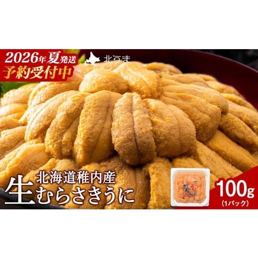 ふるさと納税 ウニ 北海道 稚内市  先行予約 2026年発送予約 うにの名産地稚内市 最北端の生む...