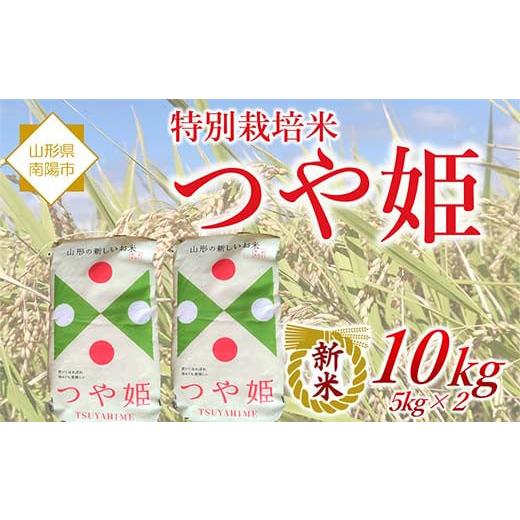 ふるさと納税 米 つや姫 山形県 南陽市 令和7年産 新米 先行予約 特別栽培米 つや姫 10kg...