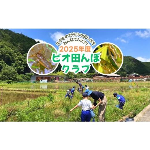 ふるさと納税 認定書・会員証 岡山県 西粟倉村 ビオ田んぼクラブ 年会費 ビオトープ 田んぼ 田植え...