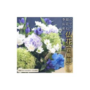 ふるさと納税 花・苗木 花束 茨城県 筑西市 定期便 12回 季節の お花 で束ねた仏花 花瓶用 L 花 仏花 生花 お供え Lサイズ／定期便12回