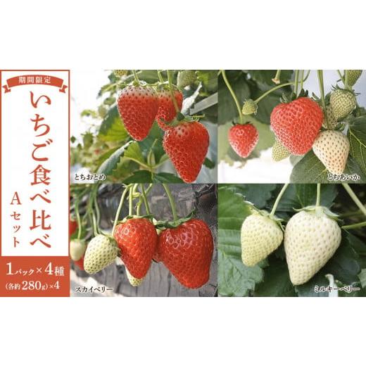 ふるさと納税 いちご 栃木県 日光市  先行予約受付 2026年1月〜発送開始 4種のいちご食べ比べ...