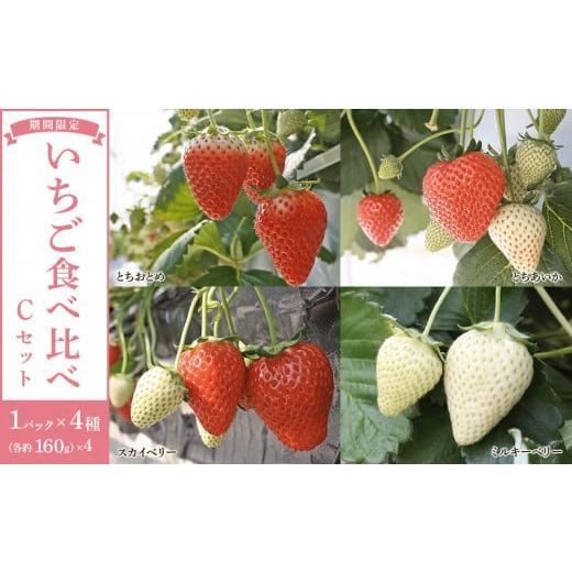 ふるさと納税 いちご 栃木県 日光市  先行予約受付 2026年1月〜発送開始 4種のいちご食べ比べ...