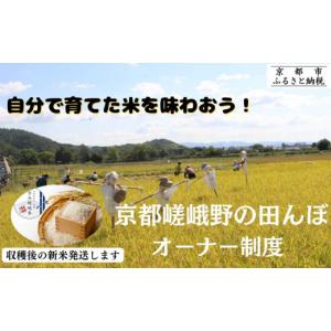 ふるさと納税 米 京都府 京都市 《京都嵯峨野》...の商品画像