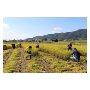 ふるさと納税 米 京都府 京都市 《京都嵯峨野...の詳細画像2