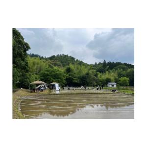 ふるさと納税 米 京都府 京都市 《京都嵯峨野...の詳細画像3
