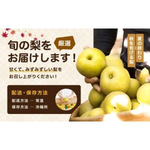 ふるさと納税 梨 長野県 飯田市 2026年先...の詳細画像3