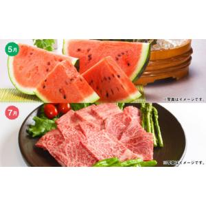 ふるさと納税 馬肉 熊本県 - 6か月隔月定期...の詳細画像5