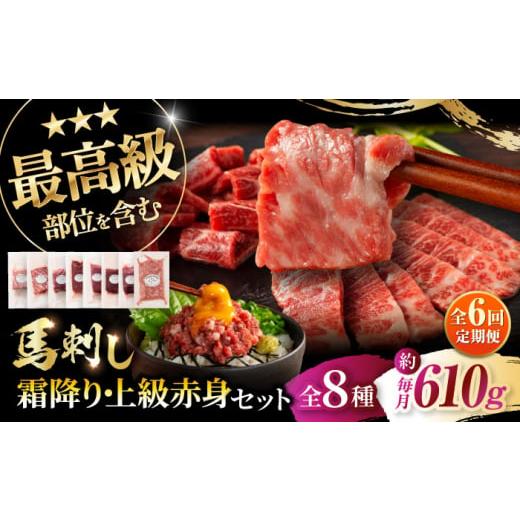 ふるさと納税 馬肉 熊本県 菊陽町  全6回定期便 「熊本特産」フジチクオリジナル 特選馬刺しの8種...