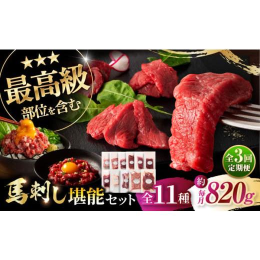 ふるさと納税 馬肉 熊本県 菊陽町  全3回定期便 「熊本特産」フジチクオリジナル ふじ馬刺し堪能セ...