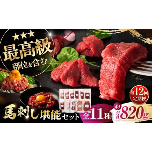 ふるさと納税 馬肉 熊本県 菊陽町  全12回定期便 「熊本特産」フジチクオリジナル ふじ馬刺し堪能...