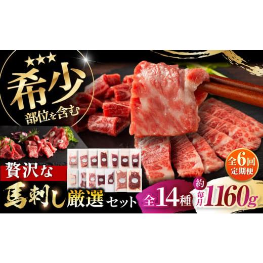 ふるさと納税 馬肉 熊本県 菊陽町  全6回定期便 フジチクオリジナル 希少部位と贅沢なふじ馬刺し厳...