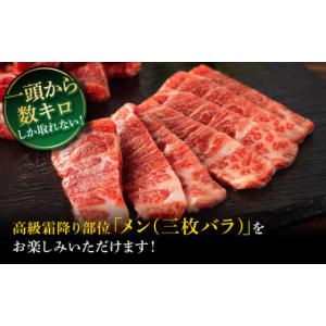 ふるさと納税 馬肉 熊本県 菊陽町 全12回定...の詳細画像2