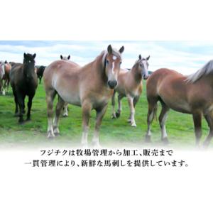 ふるさと納税 馬肉 熊本県 菊陽町 全12回定...の詳細画像5