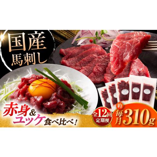 ふるさと納税 馬肉 熊本県 菊陽町  全12回定期便 フジチク 国産馬刺し と ユッケのセット 計約...