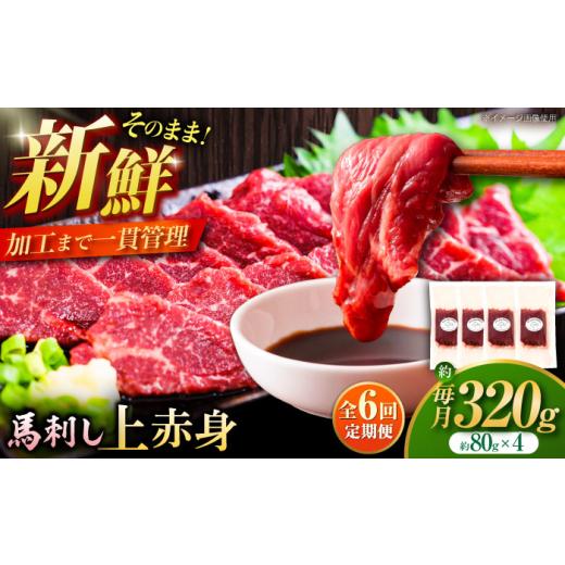 ふるさと納税 馬肉 熊本県 菊陽町  全6回定期便 フジチク ふじ 馬刺し 上赤身 4個 セット 計...