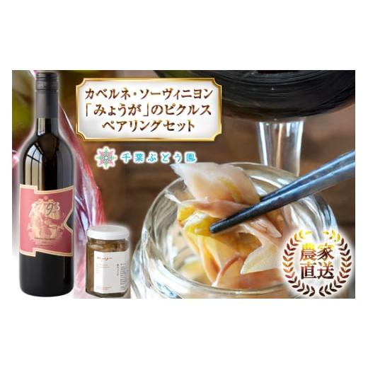 ふるさと納税 ワイン 赤ワイン 山梨県 韮崎市 赤 ワイン 中口 辛口 赤ワイン カベルネ・ソーヴィ...