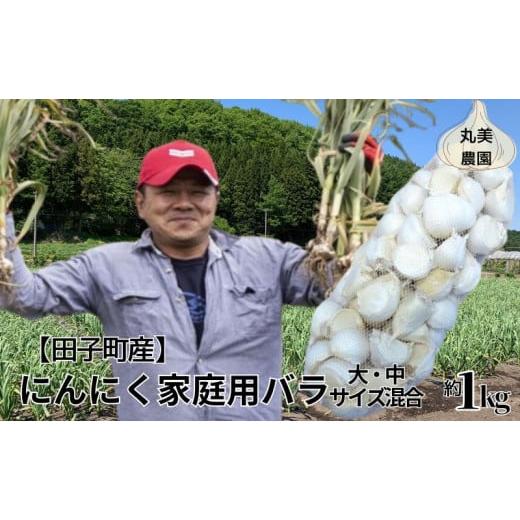 ふるさと納税 野菜類 薬味 青森県 田子町 丸美農園 田子町産にんにく家庭用バラ約1kg（大・中サイ...
