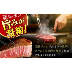 ふるさと納税 牛肉 ヒレ 福岡県 広川町 10...の詳細画像3