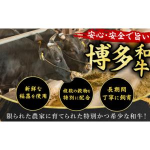 ふるさと納税 牛肉 ヒレ 福岡県 広川町 12...の詳細画像5