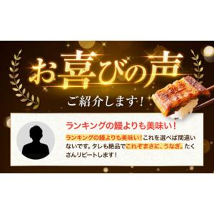 ふるさと納税 うなぎ 愛媛県 大洲市 鰻 全1...の詳細画像2