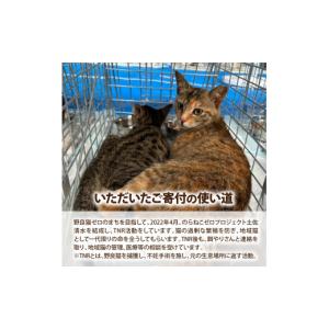 ふるさと納税 感謝状等 高知県 土佐清水市 の...の詳細画像2
