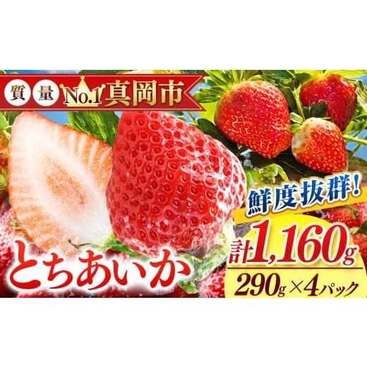 ふるさと納税 いちご 栃木県 真岡市 鮮度抜群 とちあいか 2箱 (290g×4) 1160g | ...