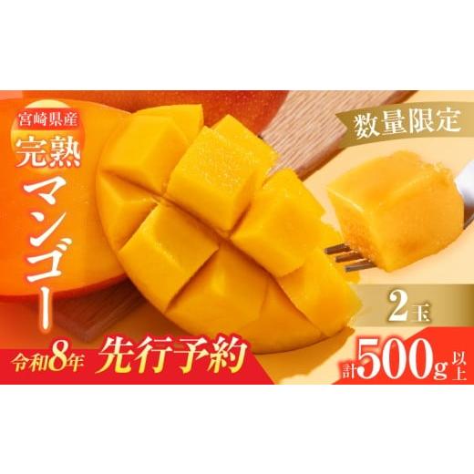 ふるさと納税 マンゴー 宮崎県 日南市 数量限定 宮崎県産 完熟マンゴー 2玉 計500g以上 期間...