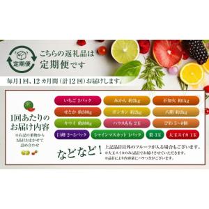 ふるさと納税 いちご 長崎県 長崎市 全12回...の詳細画像2