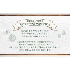 ふるさと納税 いちご 長崎県 長崎市 全12回...の詳細画像3