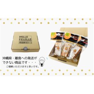 ふるさと納税 果物類 柿 長野県 松川町 MZ...の詳細画像4