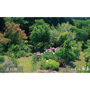 ふるさと納税 服 山形県 山形市 貫頭衣(上下...の詳細画像5