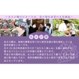ふるさと納税 ぶどう 岡山県 鏡野町 2026...の詳細画像3