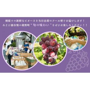 ふるさと納税 ぶどう 岡山県 鏡野町 2026...の詳細画像4