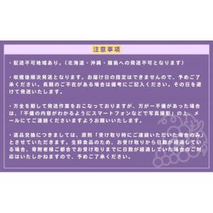 ふるさと納税 ぶどう 岡山県 鏡野町 2026...の詳細画像5