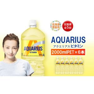 ふるさと納税 飲料類 北海道 恵庭市 定期便 全5回 アクエリアス ビタミン 2LPET×6本 | ビタミン マルチビタミン ビタミン飲料 健康飲料 スポーツドリンク 熱…