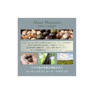 ふるさと納税 焼菓子・チョコレート 山梨県 西...の詳細画像4