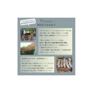 ふるさと納税 焼菓子・チョコレート 山梨県 西...の詳細画像5