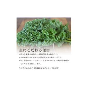 ふるさと納税 健康食品 高知県 南国市 12ヶ...の詳細画像4