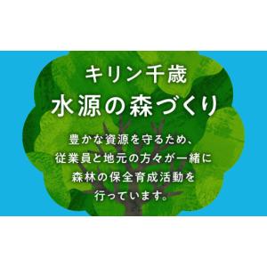 ふるさと納税 ビール 北海道 千歳市 訳あり ...の詳細画像5