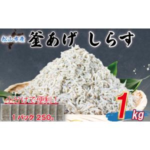 ふるさと納税 魚貝類 しらす 愛媛県 松山市 訳あり 釜揚げ しらす 1kg | 訳ありしらす 不揃いシラス 国産しらす 冷凍シラス 釜揚げしらす シラス丼 海の幸 松…