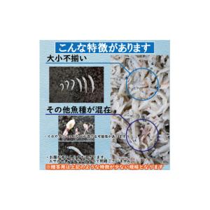 ふるさと納税 魚貝類 しらす 愛媛県 松山市 ...の詳細画像2